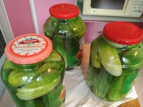 Вкусные огурцы на зиму в литровых банках с уксусом. Самые вкусные маринованные огурцы на зиму — рецепт на 2 литровую банку: