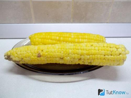 Как консервировать кукурузу в домашних условиях початках в. Кукуруза на зиму в домашних условиях 17