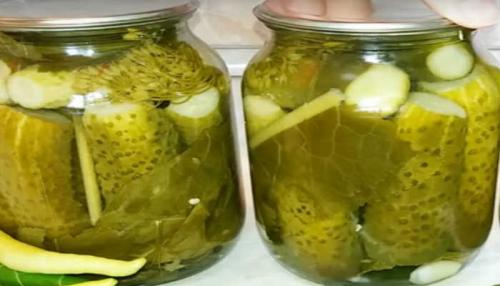 Как солить огурцы на зиму в банках простой рецепт. Как приготовить соленые огурцы на зиму без уксуса?