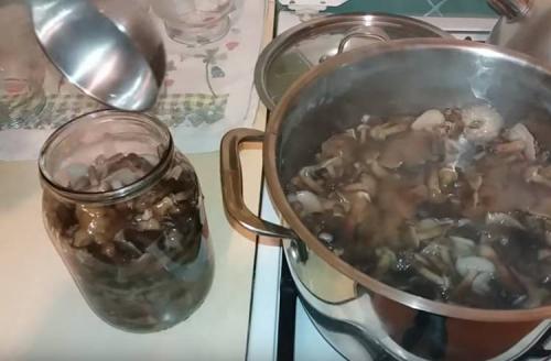 Опеньки на зиму. Опята маринованные на зиму в банках с уксусом