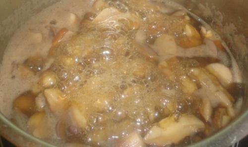 Маринованные лесные грибы быстрого приготовления. Лесные грибы (дождевики) –, как замариновать на зиму?