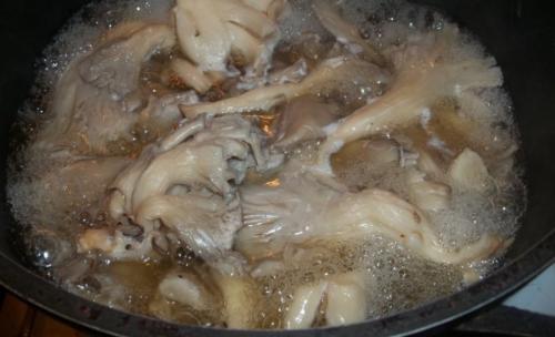 Почему вешенки горчат. Почему горчат вёшенки