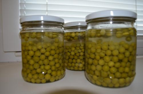 Как консервировать зеленый горошек без уксуса. Как консервировать горошек на зиму без уксуса