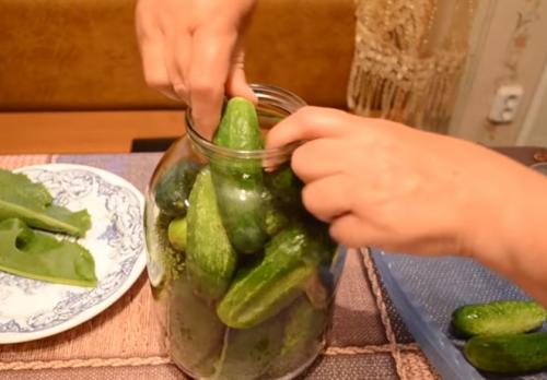 Как солить огурцы с уксусом. Хрустящие соленые огурцы холодным способом. Рецепт на 3 литровую банку