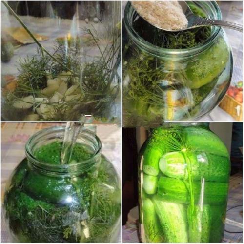 Малосольные огурцы на зиму в литровых банках. Как посолить огурцы на зиму — самые простые пошаговые рецепты. Засолка огурцов на 1 литр и 3 литровую банку