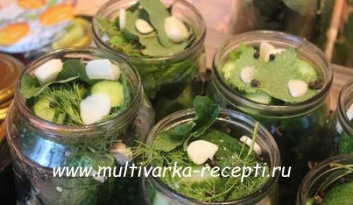 Засолка огурцов на зиму, как малосольные. Огурцы, малосольные в банке на зиму