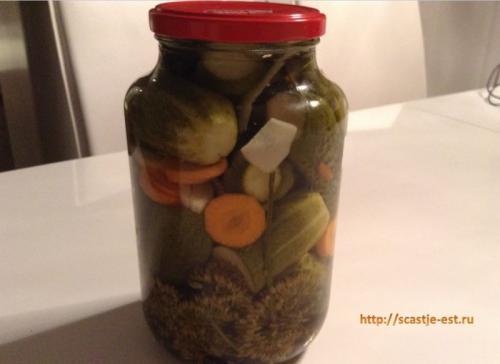 Маринованные огурцы с уксусом. Хрустящие маринованные огурцы — 7 очень вкусных рецептов на зиму