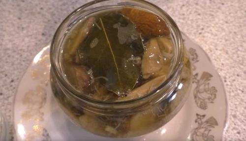 Самые вкусные маринованные белые грибы. Маринованные белые грибы на зиму, рецепты в банках без стерилизации