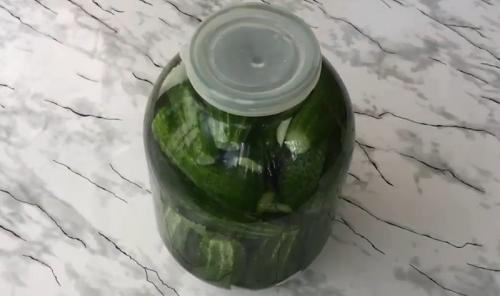 Как посолить маленькие огурчики. Малосольные хрустящие огурцы в холодной воде (холодным рассолом) 28