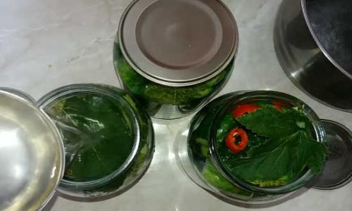 Как солить огурцы на зиму в банках простой рецепт. Как приготовить соленые огурцы на зиму без уксуса?