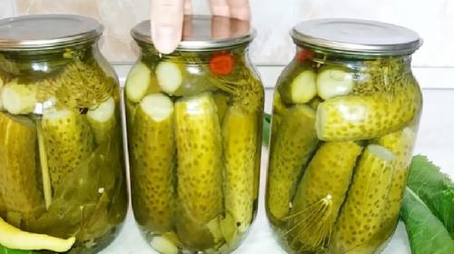 Как солить огурцы на зиму в литровых банках. Хрустящие соленые огурцы на зиму с лимонной кислотой без уксуса