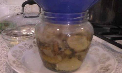 Рецепты консервирования грибов на зиму без стерилизации. Рецепт маринованных белых грибов на литр воды без стерилизации