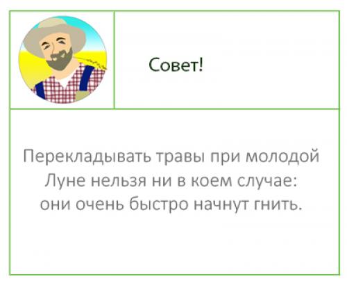 Лунный календарь для комнатных растений 2019. 