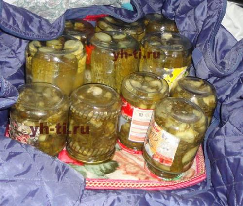 Салат из огурцов на зиму с чесноком. Салат из огурцов с зеленью и чесноком на зиму