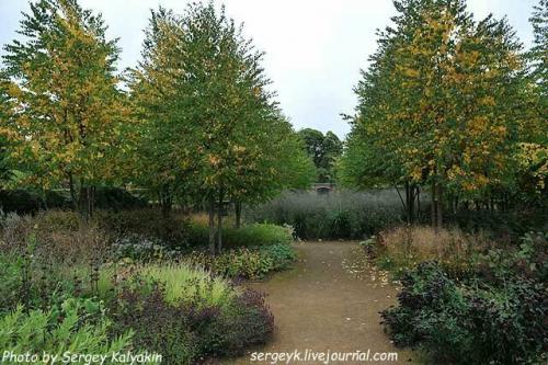 Piet oudolf. С юбилеем, Пит Удольф!