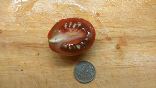 Вяленые помидоры в масле консервированные. Вяленые томаты экспериментальные (не с оливковым маслом)