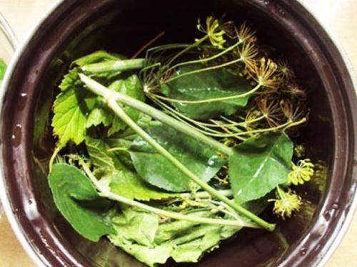 Как засолить огурцы в кастрюле. Малосольные огурцы быстрого приготовления в кастрюле