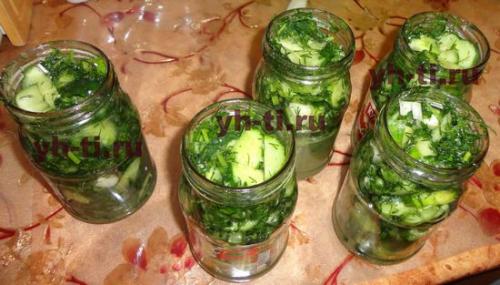 Салат из огурцов на зиму с чесноком. Салат из огурцов с зеленью и чесноком на зиму