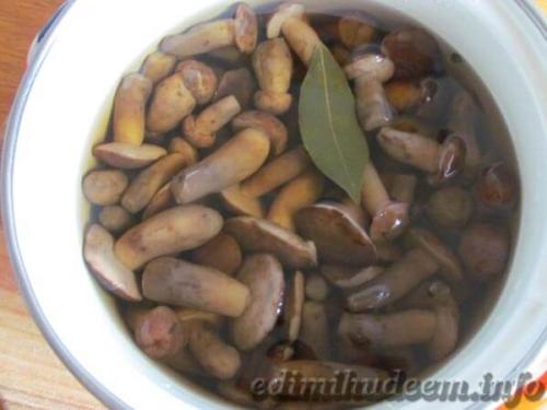 Грибы на зиму без стерилизации. Маринованные грибы рецепт без стерилизации