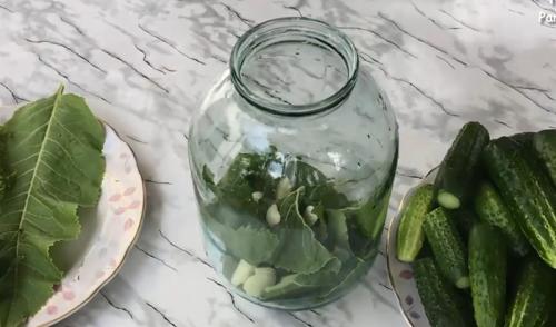 Как посолить маленькие огурчики. Малосольные хрустящие огурцы в холодной воде (холодным рассолом) 23