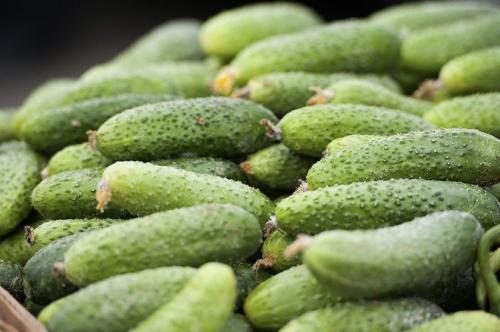 Корнишоны соленые на зиму. Выбор и подготовка ингредиентов