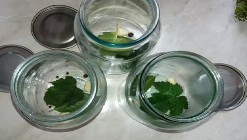 Как солить огурцы на зиму в литровых банках. Хрустящие соленые огурцы на зиму с лимонной кислотой без уксуса