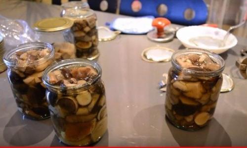 Консервация белых грибов на зиму. Маринованные белые грибы на зиму в банках — простые рецепты приготовления самых вкусных заготовок