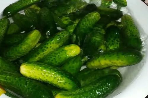 Крупные огурцы на зиму без стерилизации. Консервирование огурцов на зиму. Очень вкусные рецепты в литровых банках