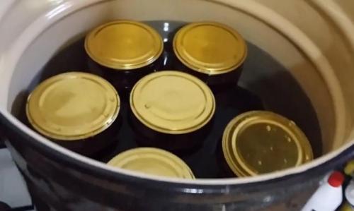 Виноградный сок через мясорубку. Виноградный сок в домашних условиях: простой пошаговый рецепт на зиму без варки