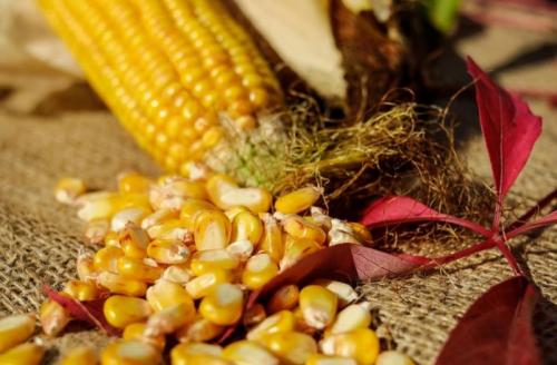 Как консервировать кукурузу, чтоб была, как магазинная. Кукуруза на зиму в домашних условиях