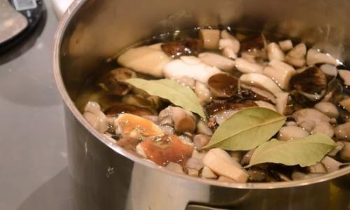 Консервация белых грибов на зиму. Маринованные белые грибы на зиму в банках — простые рецепты приготовления самых вкусных заготовок