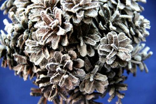 Дерево из шишек. Дерево-топиарий из шишек своими руками