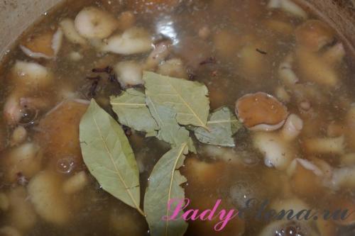 Консервація на зиму грибів. Грибы маслята на зиму в банках — пошаговый фото рецепт