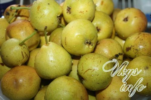 Как осветлить грушевый сок в домашних условиях. Что значит осветленный сок и как его получают 05