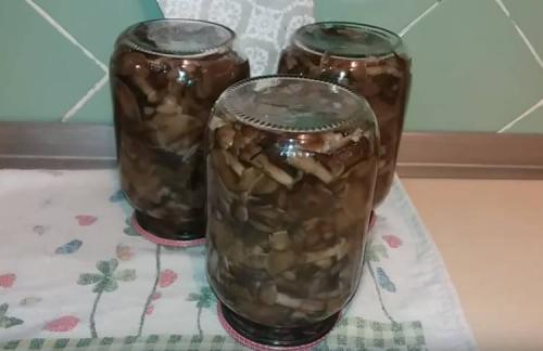 Опеньки на зиму. Опята маринованные на зиму в банках с уксусом