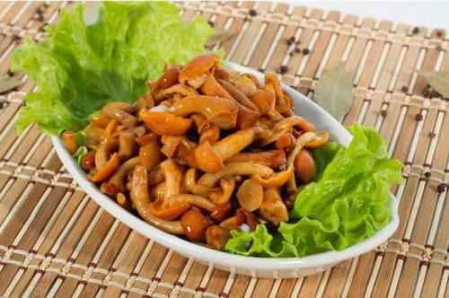 Грибы на зиму без уксуса. Как посолить опята на зиму без уксуса