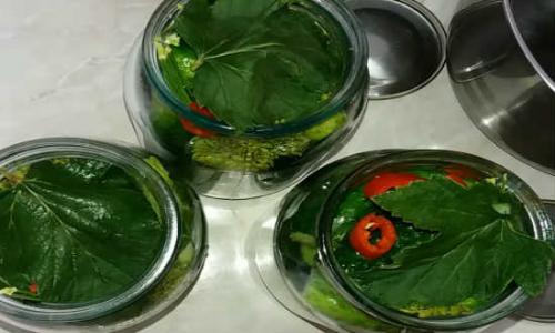 Как солить огурцы на зиму в банках простой рецепт. Как приготовить соленые огурцы на зиму без уксуса?