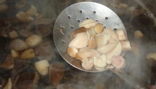 Как заморозить грибы маслята. Рецепты заморозок маслят на зиму