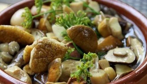 Самые вкусные маринованные белые грибы. Маринованные белые грибы на зиму, рецепты в банках без стерилизации