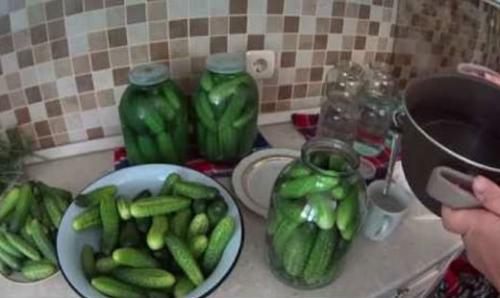 Как засолить огурцы в 3х литровой банке. Засолка хрустящих огурцов на зиму холодным способом рецепты на трехлитровую банку