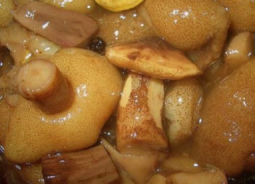 Универсальный маринад для грибов. Универсальный и простой маринад для заготовки любых грибов