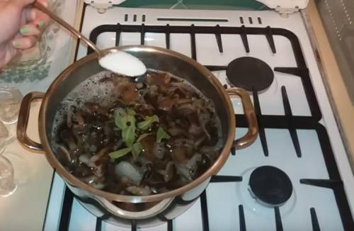 Опеньки на зиму. Опята маринованные на зиму в банках с уксусом