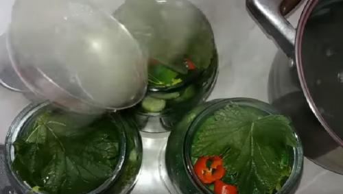 Как солить огурцы на зиму в 2 литровых банках. Засолка огурцов на зиму в литровых банках – 5 рецептов хрустящих соленых огурцов