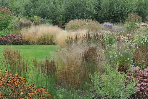 Piet oudolf. С юбилеем, Пит Удольф!