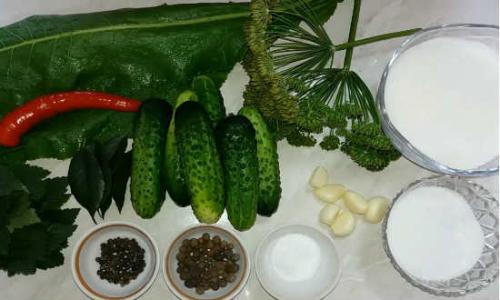 Как солить огурцы на зиму в банках простой рецепт. Как приготовить соленые огурцы на зиму без уксуса?