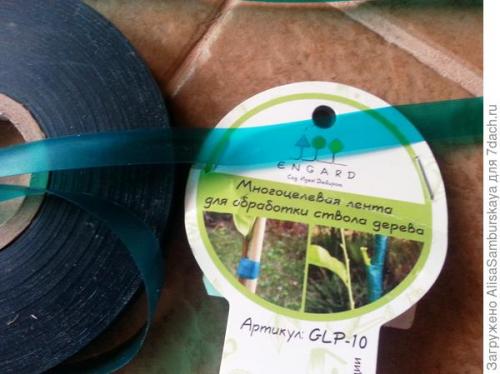 Когда укрывать молодые деревья на зиму. Посоветуйте, как защитить молодые плодовые деревца зимой?