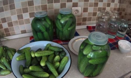 Как засолить огурцы в 3х литровой банке. Засолка хрустящих огурцов на зиму холодным способом рецепты на трехлитровую банку