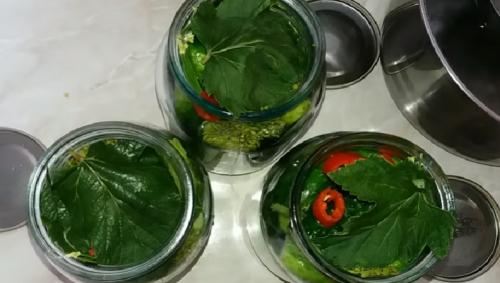 Как солить огурцы на зиму в литровых банках. Хрустящие соленые огурцы на зиму с лимонной кислотой без уксуса