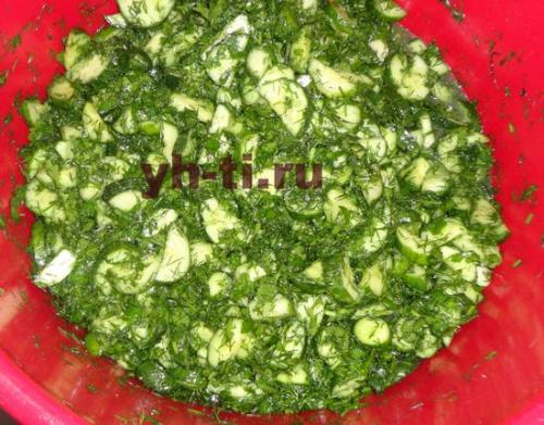 Салат из огурцов на зиму с чесноком. Салат из огурцов с зеленью и чесноком на зиму