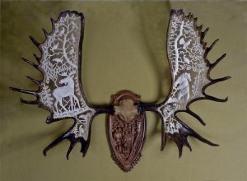 Как чистить оленьи рожки. Как обработать рога. Поделки из рогов.